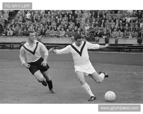 回顾世界杯射手榜排名历史记录揭秘历届顶级射手的精彩瞬间