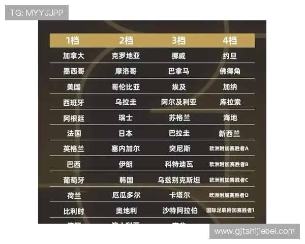 2026年世界杯决赛球票抢票技巧与实用建议,助你轻松获得心仪座位