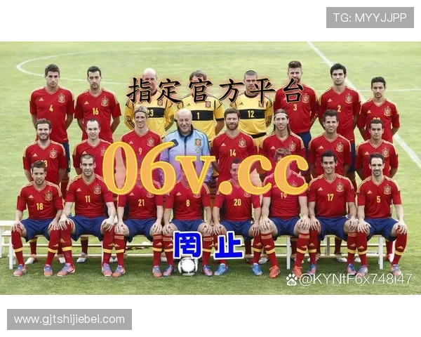 欧洲杯买球网平台哪个好，全面分析优质网站选择指南与安全保障措施