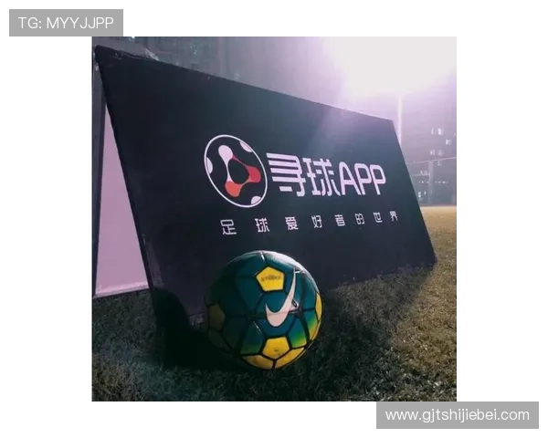 2024年正规买球app排行全面解析带你体验最优质的投注环境与服务体验